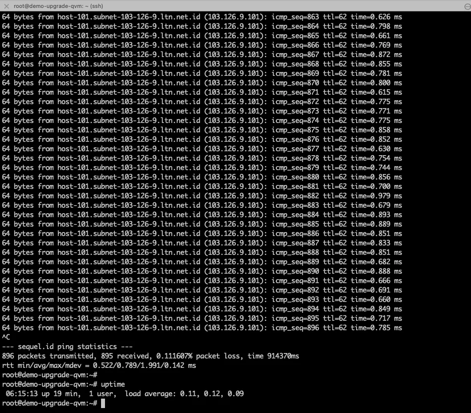 ping_setelah_upgrade