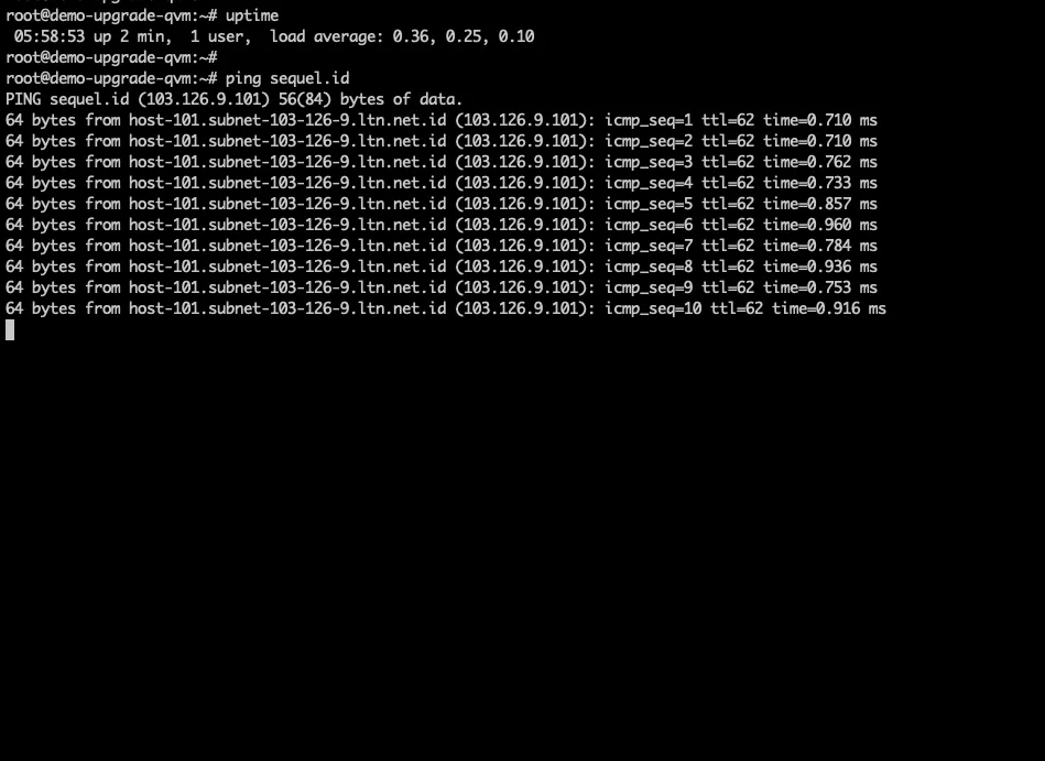 ping_sebelum_upgrade